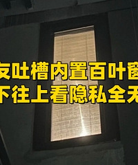 ���ð�Ҷ��������Ķ��Һܻ���