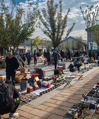 ������Ʊ������࣡���������ļ�����ע�⣬�������һ�죡