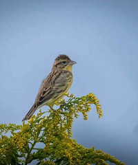 ����һ�����������ٴ��������ˣ���������������