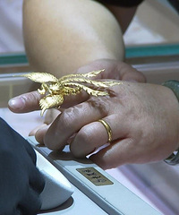 ���ƽ�̫���ˡ��й���Ǳ�����  ����������