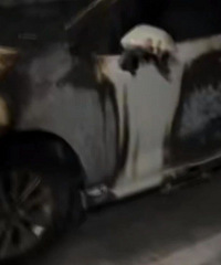 ��36�򴿵�������ȼ�ˣ������ǵ�һ��  ���������Ҹ߸����ϣ�