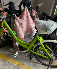 ���˸����ף������������г�������˽����