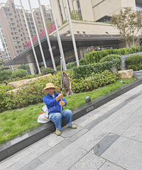 ��ֻ��������Ա�ˣ�ֻ�ɿ������ɹ����϶�Ұ���ģ�