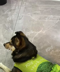 ���3K������Ѱ�������Ǻ�ϲ��ʱС���������������ˣ�