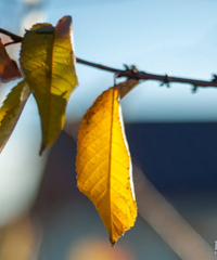 ���5�죡�������ʰ���Ҳ�ż���