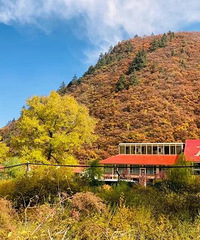 ����һ��Ҫȥ��350һ��һС�о��е��