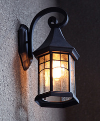 []г ҳųԲ ҹ11˯...