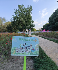 �º���԰Ҳ�ж�����԰�����ö�ҳ���С�������棡