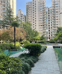 �Ժ��С���ǲ��Ǹ������ǰ�����