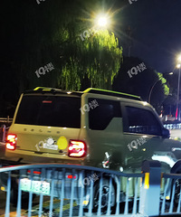 ��˹���ͼ�����è��ײ����ԭ�ص�ͷ��ֱ�����˫��ӵ�£�