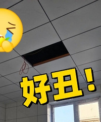 ���۰��ڱߺó� Ҫ��Ҫ����Ū����