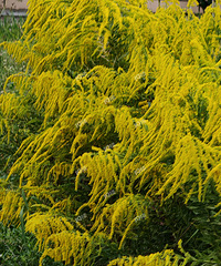 []洦ɼũС·߼ôһ֧ƻ˶