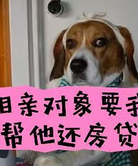 �������з����������ɣ�����Ҫ�Ұ�æ����