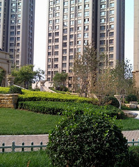 �޼����ܶ�����¥��