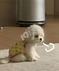 []16-24û򷿵С飬ͶӮң