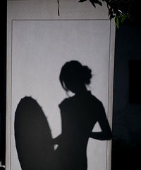 ȶ毺 91꺣αŮ ҸԵ