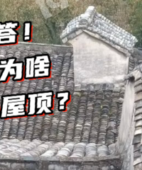 ����������׷ף�