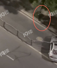 �賿ײ�����󵭶������ˣ������Ī���ǾƼ����ݣ�