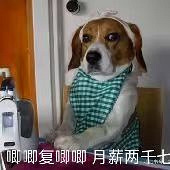 �з����������Ǽ�����