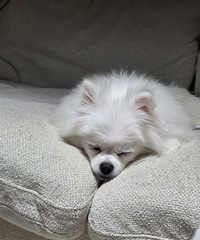 ÿ��һ�ģ��ҵĿɰ��ݹ��ֳ����˺ö࣡