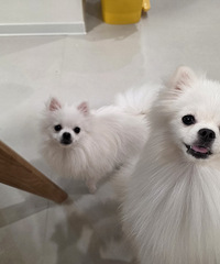 ÿ��һ�ģ��ҵĿɰ��ݹ��ֳ����˺ö࣡