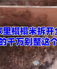 �ö��ģ����״�ȫ����ù��