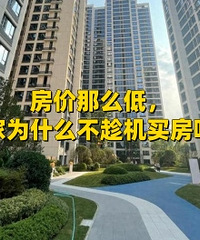 ������ô�ͣ����Ϊʲô���û����أ�