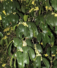 �����ڿ��ˣ�����������˿���������ģ�