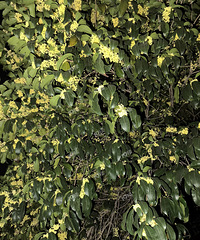 �����ڿ��ˣ�����������˿���������ģ�