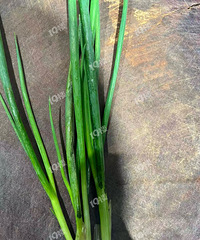 ��Ĵв�һ���С�īˮ������ɫ ���������������