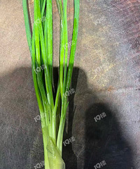 ��Ĵв�һ���С�īˮ������ɫ ���������������