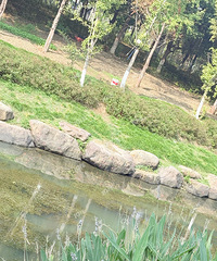 ���ں�����ô��ô�ร���ݣ�������������ʯͷ�� ������ͷƤ����