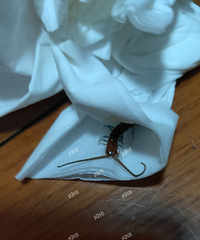 ��ʲô���������ˣ������ɨ�����׸��ˡ�