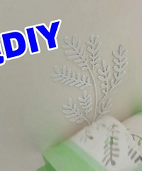 �Լ����������񣿣���