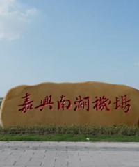 �����Ϻ����������������������μӣ�