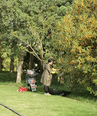 ��������ˣ����쵽�ˣ��ɻ���Ҳ��ʼ�ˣ���ͺ��ߣ��