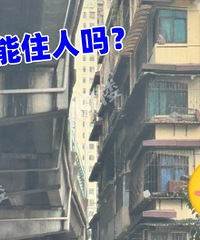 �������⣡������ʷ����߼�����ķ���...