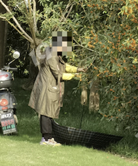 ���ڵ��� �ɻ���Ҳ��ʼ�ˣ�