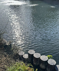 ע�⣡��������Ҫ���������ˣ�