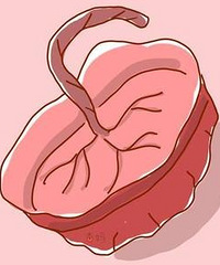 ���������Ѿ�������������Ҫ̥���� ������Ҫ����ô��������