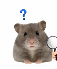 ����2000����������һ�����޷�����۸��������