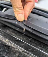 ǧ��Ҫ�ѳ���ͣ�������£�������³���С����ҧ�ĵ����ǿ�����