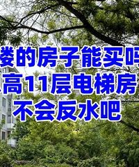 ��¥�ķ��������𣿲��ᷴˮ��...