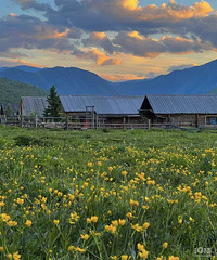 Сѧ���꼶���ӳ���˵����Ϊ �ҷ��ֺ������ּ�