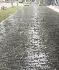 ̫���ˣ�������·������·������е�������̦����