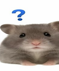 ����ø��޻�2k��һ�����޷���