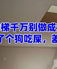 ��������¥�ݣ�ˤ��һ�Ӳ��ĵ���...