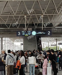 ʵģٵһ վѾСȫռˣ