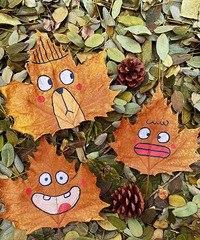 ������֦���+��԰�ᣡ�Ϲ������ഺ�ɶ�ϵ�л��������