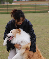 ����95�����·����조��԰�������3000ƽ���׵�СԺ���ˣ�